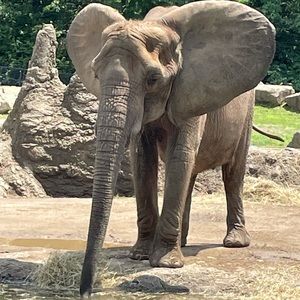 Meet your Posher, Jordan